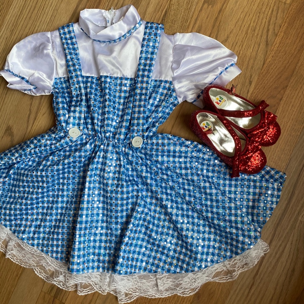 Like New Dorothy Wizard of Oz Costume 3T 4T